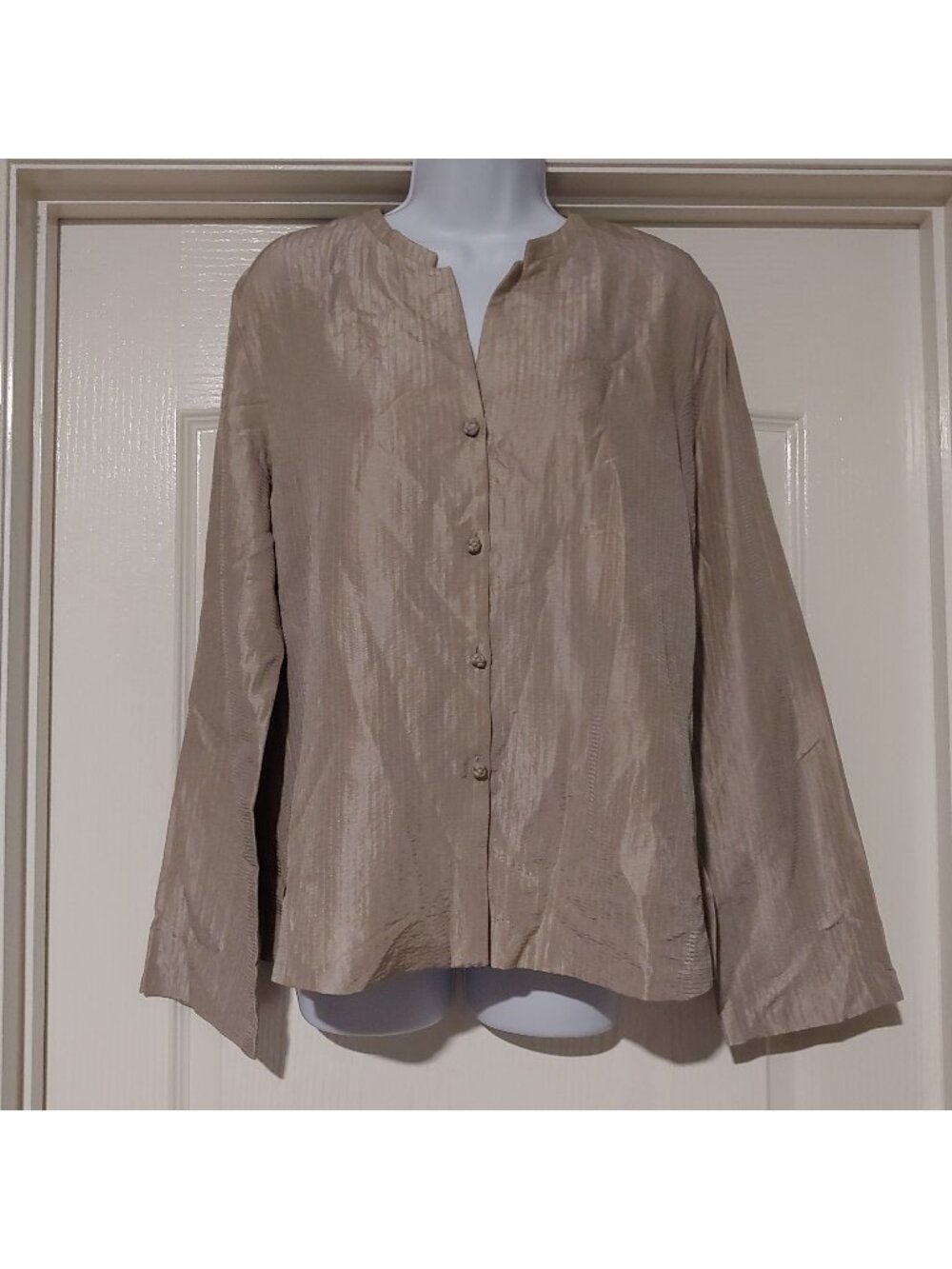 Eileen Fisher Shimmer Textured Blouse Button Front Minimalist Quiet Luxury L